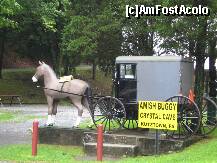 [P42] Crystal Cave - Amish Buggy » foto by marius.covaci
 - 
<span class="allrVoted glyphicon glyphicon-heart hidden" id="av174298"></span>
<a class="m-l-10 hidden" id="sv174298" onclick="voting_Foto_DelVot(,174298,8193)" role="button">șterge vot <span class="glyphicon glyphicon-remove"></span></a>
<a id="v9174298" class=" c-red"  onclick="voting_Foto_SetVot(174298)" role="button"><span class="glyphicon glyphicon-heart-empty"></span> <b>LIKE</b> = Votează poza</a> <img class="hidden"  id="f174298W9" src="/imagini/loader.gif" border="0" /><span class="AjErrMes hidden" id="e174298ErM"></span>