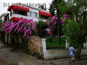 [P27] Conace/case și grădini &icirc;n B&uuml;y&uuml;kada » foto by crismis
 - 
<span class="allrVoted glyphicon glyphicon-heart hidden" id="av1163150"></span>
<a class="m-l-10 hidden" id="sv1163150" onclick="voting_Foto_DelVot(,1163150,8221)" role="button">șterge vot <span class="glyphicon glyphicon-remove"></span></a>
<a id="v91163150" class=" c-red"  onclick="voting_Foto_SetVot(1163150)" role="button"><span class="glyphicon glyphicon-heart-empty"></span> <b>LIKE</b> = Votează poza</a> <img class="hidden"  id="f1163150W9" src="/imagini/loader.gif" border="0" /><span class="AjErrMes hidden" id="e1163150ErM"></span>