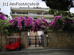 [P34] Conace/case și grădini &icirc;n B&uuml;y&uuml;kada » foto by crismis
 - 
<span class="allrVoted glyphicon glyphicon-heart hidden" id="av1163157"></span>
<a class="m-l-10 hidden" id="sv1163157" onclick="voting_Foto_DelVot(,1163157,8221)" role="button">șterge vot <span class="glyphicon glyphicon-remove"></span></a>
<a id="v91163157" class=" c-red"  onclick="voting_Foto_SetVot(1163157)" role="button"><span class="glyphicon glyphicon-heart-empty"></span> <b>LIKE</b> = Votează poza</a> <img class="hidden"  id="f1163157W9" src="/imagini/loader.gif" border="0" /><span class="AjErrMes hidden" id="e1163157ErM"></span>