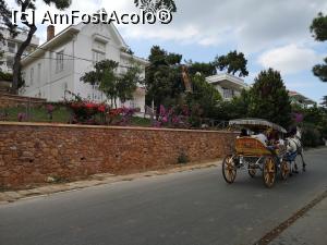 [P60] Conace/case și grădini &icirc;n B&uuml;y&uuml;kada » foto by crismis
 - 
<span class="allrVoted glyphicon glyphicon-heart hidden" id="av1163183"></span>
<a class="m-l-10 hidden" id="sv1163183" onclick="voting_Foto_DelVot(,1163183,8221)" role="button">șterge vot <span class="glyphicon glyphicon-remove"></span></a>
<a id="v91163183" class=" c-red"  onclick="voting_Foto_SetVot(1163183)" role="button"><span class="glyphicon glyphicon-heart-empty"></span> <b>LIKE</b> = Votează poza</a> <img class="hidden"  id="f1163183W9" src="/imagini/loader.gif" border="0" /><span class="AjErrMes hidden" id="e1163183ErM"></span>