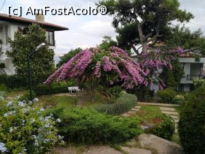 [P62] Conace/case și grădini &icirc;n B&uuml;y&uuml;kada » foto by crismis
 - 
<span class="allrVoted glyphicon glyphicon-heart hidden" id="av1163185"></span>
<a class="m-l-10 hidden" id="sv1163185" onclick="voting_Foto_DelVot(,1163185,8221)" role="button">șterge vot <span class="glyphicon glyphicon-remove"></span></a>
<a id="v91163185" class=" c-red"  onclick="voting_Foto_SetVot(1163185)" role="button"><span class="glyphicon glyphicon-heart-empty"></span> <b>LIKE</b> = Votează poza</a> <img class="hidden"  id="f1163185W9" src="/imagini/loader.gif" border="0" /><span class="AjErrMes hidden" id="e1163185ErM"></span>