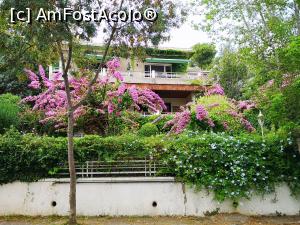 [P64] Conace/case și grădini &icirc;n B&uuml;y&uuml;kada » foto by crismis
 - 
<span class="allrVoted glyphicon glyphicon-heart hidden" id="av1163187"></span>
<a class="m-l-10 hidden" id="sv1163187" onclick="voting_Foto_DelVot(,1163187,8221)" role="button">șterge vot <span class="glyphicon glyphicon-remove"></span></a>
<a id="v91163187" class=" c-red"  onclick="voting_Foto_SetVot(1163187)" role="button"><span class="glyphicon glyphicon-heart-empty"></span> <b>LIKE</b> = Votează poza</a> <img class="hidden"  id="f1163187W9" src="/imagini/loader.gif" border="0" /><span class="AjErrMes hidden" id="e1163187ErM"></span>