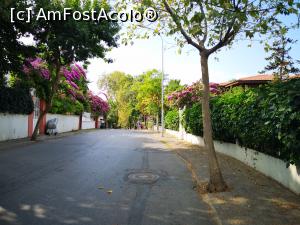 [P67] Conace/case și grădini &icirc;n B&uuml;y&uuml;kada » foto by crismis
 - 
<span class="allrVoted glyphicon glyphicon-heart hidden" id="av1163190"></span>
<a class="m-l-10 hidden" id="sv1163190" onclick="voting_Foto_DelVot(,1163190,8221)" role="button">șterge vot <span class="glyphicon glyphicon-remove"></span></a>
<a id="v91163190" class=" c-red"  onclick="voting_Foto_SetVot(1163190)" role="button"><span class="glyphicon glyphicon-heart-empty"></span> <b>LIKE</b> = Votează poza</a> <img class="hidden"  id="f1163190W9" src="/imagini/loader.gif" border="0" /><span class="AjErrMes hidden" id="e1163190ErM"></span>