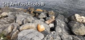 [P28] Faleza din partea st&acirc;ngă a <strong>B&uuml;y&uuml;kadei, loc de ședințe foto și pentru pisici.</strong> » foto by Aurici
 - 
<span class="allrVoted glyphicon glyphicon-heart hidden" id="av1216342"></span>
<a class="m-l-10 hidden" id="sv1216342" onclick="voting_Foto_DelVot(,1216342,8221)" role="button">șterge vot <span class="glyphicon glyphicon-remove"></span></a>
<a id="v91216342" class=" c-red"  onclick="voting_Foto_SetVot(1216342)" role="button"><span class="glyphicon glyphicon-heart-empty"></span> <b>LIKE</b> = Votează poza</a> <img class="hidden"  id="f1216342W9" src="/imagini/loader.gif" border="0" /><span class="AjErrMes hidden" id="e1216342ErM"></span>