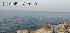 [P29] O temerară prin apele reci. » foto by Aurici
 - 
<span class="allrVoted glyphicon glyphicon-heart hidden" id="av1216343"></span>
<a class="m-l-10 hidden" id="sv1216343" onclick="voting_Foto_DelVot(,1216343,8221)" role="button">șterge vot <span class="glyphicon glyphicon-remove"></span></a>
<a id="v91216343" class=" c-red"  onclick="voting_Foto_SetVot(1216343)" role="button"><span class="glyphicon glyphicon-heart-empty"></span> <b>LIKE</b> = Votează poza</a> <img class="hidden"  id="f1216343W9" src="/imagini/loader.gif" border="0" /><span class="AjErrMes hidden" id="e1216343ErM"></span>