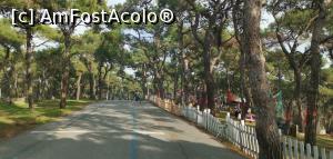 [P38] Tur de <strong>B&uuml;y&uuml;kada c</strong>u mașinuțele electrice. » foto by Aurici
 - 
<span class="allrVoted glyphicon glyphicon-heart hidden" id="av1216352"></span>
<a class="m-l-10 hidden" id="sv1216352" onclick="voting_Foto_DelVot(,1216352,8221)" role="button">șterge vot <span class="glyphicon glyphicon-remove"></span></a>
<a id="v91216352" class=" c-red"  onclick="voting_Foto_SetVot(1216352)" role="button"><span class="glyphicon glyphicon-heart-empty"></span> <b>LIKE</b> = Votează poza</a> <img class="hidden"  id="f1216352W9" src="/imagini/loader.gif" border="0" /><span class="AjErrMes hidden" id="e1216352ErM"></span>