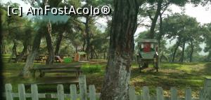 [P39] Tur de <strong>B&uuml;y&uuml;kada c</strong>u mașinuțele electrice. » foto by Aurici
 - 
<span class="allrVoted glyphicon glyphicon-heart hidden" id="av1216353"></span>
<a class="m-l-10 hidden" id="sv1216353" onclick="voting_Foto_DelVot(,1216353,8221)" role="button">șterge vot <span class="glyphicon glyphicon-remove"></span></a>
<a id="v91216353" class=" c-red"  onclick="voting_Foto_SetVot(1216353)" role="button"><span class="glyphicon glyphicon-heart-empty"></span> <b>LIKE</b> = Votează poza</a> <img class="hidden"  id="f1216353W9" src="/imagini/loader.gif" border="0" /><span class="AjErrMes hidden" id="e1216353ErM"></span>