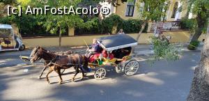 [P21] Faeton,vazut de sus » foto by Dorina9
 - 
<span class="allrVoted glyphicon glyphicon-heart hidden" id="av1161047"></span>
<a class="m-l-10 hidden" id="sv1161047" onclick="voting_Foto_DelVot(,1161047,8221)" role="button">șterge vot <span class="glyphicon glyphicon-remove"></span></a>
<a id="v91161047" class=" c-red"  onclick="voting_Foto_SetVot(1161047)" role="button"><span class="glyphicon glyphicon-heart-empty"></span> <b>LIKE</b> = Votează poza</a> <img class="hidden"  id="f1161047W9" src="/imagini/loader.gif" border="0" /><span class="AjErrMes hidden" id="e1161047ErM"></span>