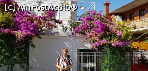 [P09] Buyuk Ada,insula cea mai mare » foto by Dorina9
 - 
<span class="allrVoted glyphicon glyphicon-heart hidden" id="av1161035"></span>
<a class="m-l-10 hidden" id="sv1161035" onclick="voting_Foto_DelVot(,1161035,8221)" role="button">șterge vot <span class="glyphicon glyphicon-remove"></span></a>
<a id="v91161035" class=" c-red"  onclick="voting_Foto_SetVot(1161035)" role="button"><span class="glyphicon glyphicon-heart-empty"></span> <b>LIKE</b> = Votează poza</a> <img class="hidden"  id="f1161035W9" src="/imagini/loader.gif" border="0" /><span class="AjErrMes hidden" id="e1161035ErM"></span>