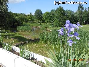 [P05] Lac de Verde - Golf & Leisure Resort. Unul dintre lacuri şi vegetaţia din jur.  » foto by iulianic
 - 
<span class="allrVoted glyphicon glyphicon-heart hidden" id="av622617"></span>
<a class="m-l-10 hidden" id="sv622617" onclick="voting_Foto_DelVot(,622617,8246)" role="button">șterge vot <span class="glyphicon glyphicon-remove"></span></a>
<a id="v9622617" class=" c-red"  onclick="voting_Foto_SetVot(622617)" role="button"><span class="glyphicon glyphicon-heart-empty"></span> <b>LIKE</b> = Votează poza</a> <img class="hidden"  id="f622617W9" src="/imagini/loader.gif" border="0" /><span class="AjErrMes hidden" id="e622617ErM"></span>