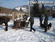 [P01] Am gasit si o poza din Martie, cand am fost cu sania la gratarel. Am primit tot de ce aveam nevoie de la Doamna Dorina (tacam, vesela, carbuni, lemne, carne preparata, tuica fiarta). » foto by roland_k
 - 
<span class="allrVoted glyphicon glyphicon-heart hidden" id="av324906"></span>
<a class="m-l-10 hidden" id="sv324906" onclick="voting_Foto_DelVot(,324906,8248)" role="button">șterge vot <span class="glyphicon glyphicon-remove"></span></a>
<a id="v9324906" class=" c-red"  onclick="voting_Foto_SetVot(324906)" role="button"><span class="glyphicon glyphicon-heart-empty"></span> <b>LIKE</b> = Votează poza</a> <img class="hidden"  id="f324906W9" src="/imagini/loader.gif" border="0" /><span class="AjErrMes hidden" id="e324906ErM"></span>