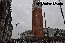 [P11]  -- <small>// FĂRĂ DESCRIERE</small> » foto by gabbyt
 - 
<span class="allrVoted glyphicon glyphicon-heart hidden" id="av176763"></span>
<a class="m-l-10 hidden" id="sv176763" onclick="voting_Foto_DelVot(,176763,8259)" role="button">șterge vot <span class="glyphicon glyphicon-remove"></span></a>
<a id="v9176763" class=" c-red"  onclick="voting_Foto_SetVot(176763)" role="button"><span class="glyphicon glyphicon-heart-empty"></span> <b>LIKE</b> = Votează poza</a> <img class="hidden"  id="f176763W9" src="/imagini/loader.gif" border="0" /><span class="AjErrMes hidden" id="e176763ErM"></span>