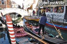 [P16]  -- <small>// FĂRĂ DESCRIERE</small> » foto by gabbyt
 - 
<span class="allrVoted glyphicon glyphicon-heart hidden" id="av176768"></span>
<a class="m-l-10 hidden" id="sv176768" onclick="voting_Foto_DelVot(,176768,8259)" role="button">șterge vot <span class="glyphicon glyphicon-remove"></span></a>
<a id="v9176768" class=" c-red"  onclick="voting_Foto_SetVot(176768)" role="button"><span class="glyphicon glyphicon-heart-empty"></span> <b>LIKE</b> = Votează poza</a> <img class="hidden"  id="f176768W9" src="/imagini/loader.gif" border="0" /><span class="AjErrMes hidden" id="e176768ErM"></span>