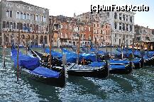 [P18]  -- <small>// FĂRĂ DESCRIERE</small> » foto by gabbyt
 - 
<span class="allrVoted glyphicon glyphicon-heart hidden" id="av176770"></span>
<a class="m-l-10 hidden" id="sv176770" onclick="voting_Foto_DelVot(,176770,8259)" role="button">șterge vot <span class="glyphicon glyphicon-remove"></span></a>
<a id="v9176770" class=" c-red"  onclick="voting_Foto_SetVot(176770)" role="button"><span class="glyphicon glyphicon-heart-empty"></span> <b>LIKE</b> = Votează poza</a> <img class="hidden"  id="f176770W9" src="/imagini/loader.gif" border="0" /><span class="AjErrMes hidden" id="e176770ErM"></span>