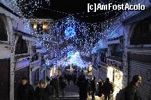 [P21]  -- <small>// FĂRĂ DESCRIERE</small> » foto by gabbyt
 - 
<span class="allrVoted glyphicon glyphicon-heart hidden" id="av176773"></span>
<a class="m-l-10 hidden" id="sv176773" onclick="voting_Foto_DelVot(,176773,8259)" role="button">șterge vot <span class="glyphicon glyphicon-remove"></span></a>
<a id="v9176773" class=" c-red"  onclick="voting_Foto_SetVot(176773)" role="button"><span class="glyphicon glyphicon-heart-empty"></span> <b>LIKE</b> = Votează poza</a> <img class="hidden"  id="f176773W9" src="/imagini/loader.gif" border="0" /><span class="AjErrMes hidden" id="e176773ErM"></span>