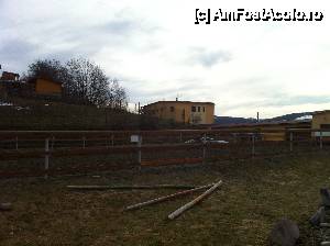 [P01]  -- <small>// FĂRĂ DESCRIERE</small> » foto by Tamsin
 - 
<span class="allrVoted glyphicon glyphicon-heart hidden" id="av401975"></span>
<a class="m-l-10 hidden" id="sv401975" onclick="voting_Foto_DelVot(,401975,8264)" role="button">șterge vot <span class="glyphicon glyphicon-remove"></span></a>
<a id="v9401975" class=" c-red"  onclick="voting_Foto_SetVot(401975)" role="button"><span class="glyphicon glyphicon-heart-empty"></span> <b>LIKE</b> = Votează poza</a> <img class="hidden"  id="f401975W9" src="/imagini/loader.gif" border="0" /><span class="AjErrMes hidden" id="e401975ErM"></span>