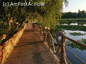 [P31] Alee spre plajă pe lângă lac, stânga » foto by Sebastian TM
 - 
<span class="allrVoted glyphicon glyphicon-heart hidden" id="av1245559"></span>
<a class="m-l-10 hidden" id="sv1245559" onclick="voting_Foto_DelVot(,1245559,8276)" role="button">șterge vot <span class="glyphicon glyphicon-remove"></span></a>
<a id="v91245559" class=" c-red"  onclick="voting_Foto_SetVot(1245559)" role="button"><span class="glyphicon glyphicon-heart-empty"></span> <b>LIKE</b> = Votează poza</a> <img class="hidden"  id="f1245559W9" src="/imagini/loader.gif" border="0" /><span class="AjErrMes hidden" id="e1245559ErM"></span>