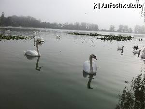 [P17] Superb...  » foto by ROMY
 - 
<span class="allrVoted glyphicon glyphicon-heart hidden" id="av391412"></span>
<a class="m-l-10 hidden" id="sv391412" onclick="voting_Foto_DelVot(,391412,8276)" role="button">șterge vot <span class="glyphicon glyphicon-remove"></span></a>
<a id="v9391412" class=" c-red"  onclick="voting_Foto_SetVot(391412)" role="button"><span class="glyphicon glyphicon-heart-empty"></span> <b>LIKE</b> = Votează poza</a> <img class="hidden"  id="f391412W9" src="/imagini/loader.gif" border="0" /><span class="AjErrMes hidden" id="e391412ErM"></span>