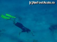 [P12] O noua specie de peste » foto by bogdansenior
 - 
<span class="allrVoted glyphicon glyphicon-heart hidden" id="av200424"></span>
<a class="m-l-10 hidden" id="sv200424" onclick="voting_Foto_DelVot(,200424,8284)" role="button">șterge vot <span class="glyphicon glyphicon-remove"></span></a>
<a id="v9200424" class=" c-red"  onclick="voting_Foto_SetVot(200424)" role="button"><span class="glyphicon glyphicon-heart-empty"></span> <b>LIKE</b> = Votează poza</a> <img class="hidden"  id="f200424W9" src="/imagini/loader.gif" border="0" /><span class="AjErrMes hidden" id="e200424ErM"></span>