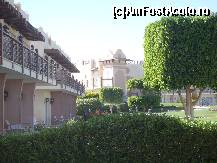 [P20] P'aci prin curte :) » foto by bogdansenior
 - 
<span class="allrVoted glyphicon glyphicon-heart hidden" id="av200438"></span>
<a class="m-l-10 hidden" id="sv200438" onclick="voting_Foto_DelVot(,200438,8284)" role="button">șterge vot <span class="glyphicon glyphicon-remove"></span></a>
<a id="v9200438" class=" c-red"  onclick="voting_Foto_SetVot(200438)" role="button"><span class="glyphicon glyphicon-heart-empty"></span> <b>LIKE</b> = Votează poza</a> <img class="hidden"  id="f200438W9" src="/imagini/loader.gif" border="0" /><span class="AjErrMes hidden" id="e200438ErM"></span>