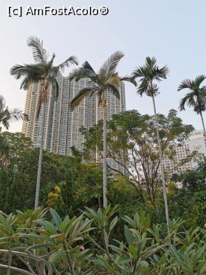 [P08] Kowloon Park » foto by cata2106
 - 
<span class="allrVoted glyphicon glyphicon-heart hidden" id="av1133258"></span>
<a class="m-l-10 hidden" id="sv1133258" onclick="voting_Foto_DelVot(,1133258,8285)" role="button">șterge vot <span class="glyphicon glyphicon-remove"></span></a>
<a id="v91133258" class=" c-red"  onclick="voting_Foto_SetVot(1133258)" role="button"><span class="glyphicon glyphicon-heart-empty"></span> <b>LIKE</b> = Votează poza</a> <img class="hidden"  id="f1133258W9" src="/imagini/loader.gif" border="0" /><span class="AjErrMes hidden" id="e1133258ErM"></span>