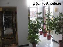 [P08] Langa intrarea la lift, pe fiecare palier, e multa lumina si plante ornamentale » foto by dorgo
 - 
<span class="allrVoted glyphicon glyphicon-heart hidden" id="av177806"></span>
<a class="m-l-10 hidden" id="sv177806" onclick="voting_Foto_DelVot(,177806,8287)" role="button">șterge vot <span class="glyphicon glyphicon-remove"></span></a>
<a id="v9177806" class=" c-red"  onclick="voting_Foto_SetVot(177806)" role="button"><span class="glyphicon glyphicon-heart-empty"></span> <b>LIKE</b> = Votează poza</a> <img class="hidden"  id="f177806W9" src="/imagini/loader.gif" border="0" /><span class="AjErrMes hidden" id="e177806ErM"></span>