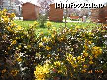 [P15] Giurgiu - Primăvara în Parcul Mihai Viteazul.  » foto by iulianic
 - 
<span class="allrVoted glyphicon glyphicon-heart hidden" id="av413227"></span>
<a class="m-l-10 hidden" id="sv413227" onclick="voting_Foto_DelVot(,413227,8317)" role="button">șterge vot <span class="glyphicon glyphicon-remove"></span></a>
<a id="v9413227" class=" c-red"  onclick="voting_Foto_SetVot(413227)" role="button"><span class="glyphicon glyphicon-heart-empty"></span> <b>LIKE</b> = Votează poza</a> <img class="hidden"  id="f413227W9" src="/imagini/loader.gif" border="0" /><span class="AjErrMes hidden" id="e413227ErM"></span>