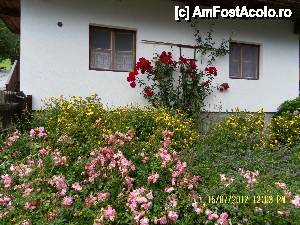 [P05] Alpbach - armonie de culori si miresme » foto by Alina53
 - 
<span class="allrVoted glyphicon glyphicon-heart hidden" id="av400053"></span>
<a class="m-l-10 hidden" id="sv400053" onclick="voting_Foto_DelVot(,400053,8323)" role="button">șterge vot <span class="glyphicon glyphicon-remove"></span></a>
<a id="v9400053" class=" c-red"  onclick="voting_Foto_SetVot(400053)" role="button"><span class="glyphicon glyphicon-heart-empty"></span> <b>LIKE</b> = Votează poza</a> <img class="hidden"  id="f400053W9" src="/imagini/loader.gif" border="0" /><span class="AjErrMes hidden" id="e400053ErM"></span>