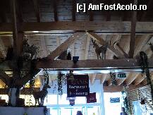 [P13] Intrarea in restaurant la Gamsgarten » foto by TORA INGRID
 - 
<span class="allrVoted glyphicon glyphicon-heart hidden" id="av179162"></span>
<a class="m-l-10 hidden" id="sv179162" onclick="voting_Foto_DelVot(,179162,8323)" role="button">șterge vot <span class="glyphicon glyphicon-remove"></span></a>
<a id="v9179162" class=" c-red"  onclick="voting_Foto_SetVot(179162)" role="button"><span class="glyphicon glyphicon-heart-empty"></span> <b>LIKE</b> = Votează poza</a> <img class="hidden"  id="f179162W9" src="/imagini/loader.gif" border="0" /><span class="AjErrMes hidden" id="e179162ErM"></span>
