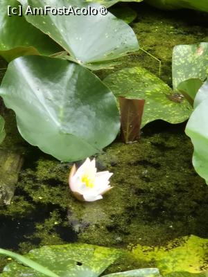 [P08] Si încă unul » foto by adrianaglogo
 - 
<span class="allrVoted glyphicon glyphicon-heart hidden" id="av1509564"></span>
<a class="m-l-10 hidden" id="sv1509564" onclick="voting_Foto_DelVot(,1509564,8328)" role="button">șterge vot <span class="glyphicon glyphicon-remove"></span></a>
<a id="v91509564" class=" c-red"  onclick="voting_Foto_SetVot(1509564)" role="button"><span class="glyphicon glyphicon-heart-empty"></span> <b>LIKE</b> = Votează poza</a> <img class="hidden"  id="f1509564W9" src="/imagini/loader.gif" border="0" /><span class="AjErrMes hidden" id="e1509564ErM"></span>