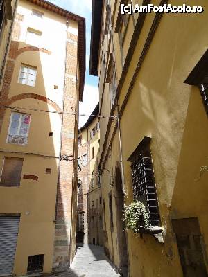 [P18] Straduta linistita din Lucca » foto by BOGDAN DSN
 - 
<span class="allrVoted glyphicon glyphicon-heart hidden" id="av424012"></span>
<a class="m-l-10 hidden" id="sv424012" onclick="voting_Foto_DelVot(,424012,8341)" role="button">șterge vot <span class="glyphicon glyphicon-remove"></span></a>
<a id="v9424012" class=" c-red"  onclick="voting_Foto_SetVot(424012)" role="button"><span class="glyphicon glyphicon-heart-empty"></span> <b>LIKE</b> = Votează poza</a> <img class="hidden"  id="f424012W9" src="/imagini/loader.gif" border="0" /><span class="AjErrMes hidden" id="e424012ErM"></span>