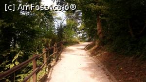 [P24] Spre Castel » foto by Mika
 - 
<span class="allrVoted glyphicon glyphicon-heart hidden" id="av1077604"></span>
<a class="m-l-10 hidden" id="sv1077604" onclick="voting_Foto_DelVot(,1077604,8382)" role="button">șterge vot <span class="glyphicon glyphicon-remove"></span></a>
<a id="v91077604" class=" c-red"  onclick="voting_Foto_SetVot(1077604)" role="button"><span class="glyphicon glyphicon-heart-empty"></span> <b>LIKE</b> = Votează poza</a> <img class="hidden"  id="f1077604W9" src="/imagini/loader.gif" border="0" /><span class="AjErrMes hidden" id="e1077604ErM"></span>