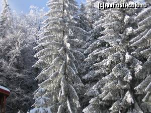 [P11] Predeal - Hotelul Art Montana *** Am plecat voiosi spre partia de ski Clabucet.  » foto by vega06
 - 
<span class="allrVoted glyphicon glyphicon-heart hidden" id="av580810"></span>
<a class="m-l-10 hidden" id="sv580810" onclick="voting_Foto_DelVot(,580810,8383)" role="button">șterge vot <span class="glyphicon glyphicon-remove"></span></a>
<a id="v9580810" class=" c-red"  onclick="voting_Foto_SetVot(580810)" role="button"><span class="glyphicon glyphicon-heart-empty"></span> <b>LIKE</b> = Votează poza</a> <img class="hidden"  id="f580810W9" src="/imagini/loader.gif" border="0" /><span class="AjErrMes hidden" id="e580810ErM"></span>