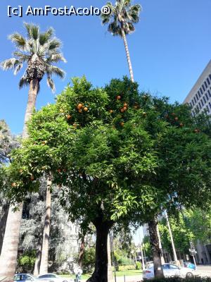 [P06]  -- <small>// FĂRĂ DESCRIERE</small> » foto by lenti
 - 
<span class="allrVoted glyphicon glyphicon-heart hidden" id="av1086278"></span>
<a class="m-l-10 hidden" id="sv1086278" onclick="voting_Foto_DelVot(,1086278,8408)" role="button">șterge vot <span class="glyphicon glyphicon-remove"></span></a>
<a id="v91086278" class=" c-red"  onclick="voting_Foto_SetVot(1086278)" role="button"><span class="glyphicon glyphicon-heart-empty"></span> <b>LIKE</b> = Votează poza</a> <img class="hidden"  id="f1086278W9" src="/imagini/loader.gif" border="0" /><span class="AjErrMes hidden" id="e1086278ErM"></span>