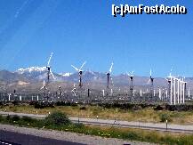 [P06] Turbine de vant si munti in Cali » foto by Darklocks
 - 
<span class="allrVoted glyphicon glyphicon-heart hidden" id="av191783"></span>
<a class="m-l-10 hidden" id="sv191783" onclick="voting_Foto_DelVot(,191783,8408)" role="button">șterge vot <span class="glyphicon glyphicon-remove"></span></a>
<a id="v9191783" class=" c-red"  onclick="voting_Foto_SetVot(191783)" role="button"><span class="glyphicon glyphicon-heart-empty"></span> <b>LIKE</b> = Votează poza</a> <img class="hidden"  id="f191783W9" src="/imagini/loader.gif" border="0" /><span class="AjErrMes hidden" id="e191783ErM"></span>