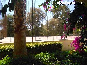 [P05] vedere din balconul nostru in planul 2, terenul de tenis » foto by adrianbogdan
 - 
<span class="allrVoted glyphicon glyphicon-heart hidden" id="av586060"></span>
<a class="m-l-10 hidden" id="sv586060" onclick="voting_Foto_DelVot(,586060,8410)" role="button">șterge vot <span class="glyphicon glyphicon-remove"></span></a>
<a id="v9586060" class=" c-red"  onclick="voting_Foto_SetVot(586060)" role="button"><span class="glyphicon glyphicon-heart-empty"></span> <b>LIKE</b> = Votează poza</a> <img class="hidden"  id="f586060W9" src="/imagini/loader.gif" border="0" /><span class="AjErrMes hidden" id="e586060ErM"></span>