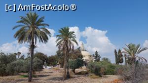 [P40] În drum spre Moscheea Hala Sultan Tekkesi » foto by Carmen Ion
 - 
<span class="allrVoted glyphicon glyphicon-heart hidden" id="av1404116"></span>
<a class="m-l-10 hidden" id="sv1404116" onclick="voting_Foto_DelVot(,1404116,8430)" role="button">șterge vot <span class="glyphicon glyphicon-remove"></span></a>
<a id="v91404116" class=" c-red"  onclick="voting_Foto_SetVot(1404116)" role="button"><span class="glyphicon glyphicon-heart-empty"></span> <b>LIKE</b> = Votează poza</a> <img class="hidden"  id="f1404116W9" src="/imagini/loader.gif" border="0" /><span class="AjErrMes hidden" id="e1404116ErM"></span>