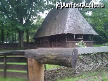 [P27]  -- <small>// FĂRĂ DESCRIERE</small> » foto by alinaro
 - 
<span class="allrVoted glyphicon glyphicon-heart hidden" id="av342876"></span>
<a class="m-l-10 hidden" id="sv342876" onclick="voting_Foto_DelVot(,342876,8488)" role="button">șterge vot <span class="glyphicon glyphicon-remove"></span></a>
<a id="v9342876" class=" c-red"  onclick="voting_Foto_SetVot(342876)" role="button"><span class="glyphicon glyphicon-heart-empty"></span> <b>LIKE</b> = Votează poza</a> <img class="hidden"  id="f342876W9" src="/imagini/loader.gif" border="0" /><span class="AjErrMes hidden" id="e342876ErM"></span>