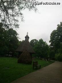 [P36] Nu lipsesc nici capitele noastre de fan...  » foto by alinaro
 - 
<span class="allrVoted glyphicon glyphicon-heart hidden" id="av342887"></span>
<a class="m-l-10 hidden" id="sv342887" onclick="voting_Foto_DelVot(,342887,8488)" role="button">șterge vot <span class="glyphicon glyphicon-remove"></span></a>
<a id="v9342887" class=" c-red"  onclick="voting_Foto_SetVot(342887)" role="button"><span class="glyphicon glyphicon-heart-empty"></span> <b>LIKE</b> = Votează poza</a> <img class="hidden"  id="f342887W9" src="/imagini/loader.gif" border="0" /><span class="AjErrMes hidden" id="e342887ErM"></span>