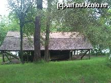 [P48]  -- <small>// FĂRĂ DESCRIERE</small> » foto by alinaro
 - 
<span class="allrVoted glyphicon glyphicon-heart hidden" id="av342913"></span>
<a class="m-l-10 hidden" id="sv342913" onclick="voting_Foto_DelVot(,342913,8488)" role="button">șterge vot <span class="glyphicon glyphicon-remove"></span></a>
<a id="v9342913" class=" c-red"  onclick="voting_Foto_SetVot(342913)" role="button"><span class="glyphicon glyphicon-heart-empty"></span> <b>LIKE</b> = Votează poza</a> <img class="hidden"  id="f342913W9" src="/imagini/loader.gif" border="0" /><span class="AjErrMes hidden" id="e342913ErM"></span>