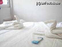 [P02]  -- <small>// FĂRĂ DESCRIERE</small> » foto by Daly
 - 
<span class="allrVoted glyphicon glyphicon-heart hidden" id="av184527"></span>
<a class="m-l-10 hidden" id="sv184527" onclick="voting_Foto_DelVot(,184527,8499)" role="button">șterge vot <span class="glyphicon glyphicon-remove"></span></a>
<a id="v9184527" class=" c-red"  onclick="voting_Foto_SetVot(184527)" role="button"><span class="glyphicon glyphicon-heart-empty"></span> <b>LIKE</b> = Votează poza</a> <img class="hidden"  id="f184527W9" src="/imagini/loader.gif" border="0" /><span class="AjErrMes hidden" id="e184527ErM"></span>