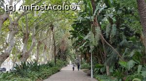 [P21] Malaga » foto by mirmicu
 - 
<span class="allrVoted glyphicon glyphicon-heart hidden" id="av1076107"></span>
<a class="m-l-10 hidden" id="sv1076107" onclick="voting_Foto_DelVot(,1076107,8504)" role="button">șterge vot <span class="glyphicon glyphicon-remove"></span></a>
<a id="v91076107" class=" c-red"  onclick="voting_Foto_SetVot(1076107)" role="button"><span class="glyphicon glyphicon-heart-empty"></span> <b>LIKE</b> = Votează poza</a> <img class="hidden"  id="f1076107W9" src="/imagini/loader.gif" border="0" /><span class="AjErrMes hidden" id="e1076107ErM"></span>