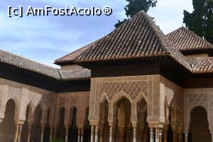 [P47] In excursie la Palatul Alhambra din Granada » foto by mirmicu
 - 
<span class="allrVoted glyphicon glyphicon-heart hidden" id="av1076136"></span>
<a class="m-l-10 hidden" id="sv1076136" onclick="voting_Foto_DelVot(,1076136,8504)" role="button">șterge vot <span class="glyphicon glyphicon-remove"></span></a>
<a id="v91076136" class=" c-red"  onclick="voting_Foto_SetVot(1076136)" role="button"><span class="glyphicon glyphicon-heart-empty"></span> <b>LIKE</b> = Votează poza</a> <img class="hidden"  id="f1076136W9" src="/imagini/loader.gif" border="0" /><span class="AjErrMes hidden" id="e1076136ErM"></span>