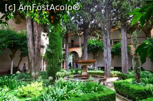 [P50] In excursie la Palatul Alhambra din Granada » foto by mirmicu
 - 
<span class="allrVoted glyphicon glyphicon-heart hidden" id="av1076139"></span>
<a class="m-l-10 hidden" id="sv1076139" onclick="voting_Foto_DelVot(,1076139,8504)" role="button">șterge vot <span class="glyphicon glyphicon-remove"></span></a>
<a id="v91076139" class=" c-red"  onclick="voting_Foto_SetVot(1076139)" role="button"><span class="glyphicon glyphicon-heart-empty"></span> <b>LIKE</b> = Votează poza</a> <img class="hidden"  id="f1076139W9" src="/imagini/loader.gif" border="0" /><span class="AjErrMes hidden" id="e1076139ErM"></span>