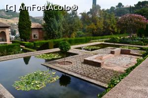 [P52] In excursie la Palatul Alhambra din Granada » foto by mirmicu
 - 
<span class="allrVoted glyphicon glyphicon-heart hidden" id="av1076141"></span>
<a class="m-l-10 hidden" id="sv1076141" onclick="voting_Foto_DelVot(,1076141,8504)" role="button">șterge vot <span class="glyphicon glyphicon-remove"></span></a>
<a id="v91076141" class=" c-red"  onclick="voting_Foto_SetVot(1076141)" role="button"><span class="glyphicon glyphicon-heart-empty"></span> <b>LIKE</b> = Votează poza</a> <img class="hidden"  id="f1076141W9" src="/imagini/loader.gif" border="0" /><span class="AjErrMes hidden" id="e1076141ErM"></span>