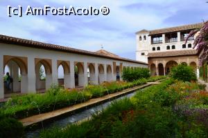 [P54]  -- <small>// FĂRĂ DESCRIERE</small> » foto by mirmicu
 - 
<span class="allrVoted glyphicon glyphicon-heart hidden" id="av1076143"></span>
<a class="m-l-10 hidden" id="sv1076143" onclick="voting_Foto_DelVot(,1076143,8504)" role="button">șterge vot <span class="glyphicon glyphicon-remove"></span></a>
<a id="v91076143" class=" c-red"  onclick="voting_Foto_SetVot(1076143)" role="button"><span class="glyphicon glyphicon-heart-empty"></span> <b>LIKE</b> = Votează poza</a> <img class="hidden"  id="f1076143W9" src="/imagini/loader.gif" border="0" /><span class="AjErrMes hidden" id="e1076143ErM"></span>