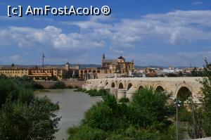 [P59] Cordoba » foto by mirmicu
 - 
<span class="allrVoted glyphicon glyphicon-heart hidden" id="av1076150"></span>
<a class="m-l-10 hidden" id="sv1076150" onclick="voting_Foto_DelVot(,1076150,8504)" role="button">șterge vot <span class="glyphicon glyphicon-remove"></span></a>
<a id="v91076150" class=" c-red"  onclick="voting_Foto_SetVot(1076150)" role="button"><span class="glyphicon glyphicon-heart-empty"></span> <b>LIKE</b> = Votează poza</a> <img class="hidden"  id="f1076150W9" src="/imagini/loader.gif" border="0" /><span class="AjErrMes hidden" id="e1076150ErM"></span>