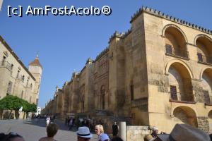 [P60] Mezquita sau catedrala- moschee din Cordoba » foto by mirmicu
 - 
<span class="allrVoted glyphicon glyphicon-heart hidden" id="av1076152"></span>
<a class="m-l-10 hidden" id="sv1076152" onclick="voting_Foto_DelVot(,1076152,8504)" role="button">șterge vot <span class="glyphicon glyphicon-remove"></span></a>
<a id="v91076152" class=" c-red"  onclick="voting_Foto_SetVot(1076152)" role="button"><span class="glyphicon glyphicon-heart-empty"></span> <b>LIKE</b> = Votează poza</a> <img class="hidden"  id="f1076152W9" src="/imagini/loader.gif" border="0" /><span class="AjErrMes hidden" id="e1076152ErM"></span>