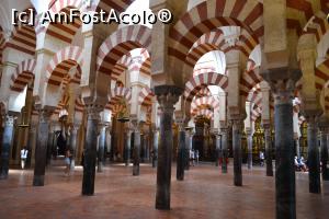 [P68] Mezquita sau catedrala- moschee din Cordoba » foto by mirmicu
 - 
<span class="allrVoted glyphicon glyphicon-heart hidden" id="av1076164"></span>
<a class="m-l-10 hidden" id="sv1076164" onclick="voting_Foto_DelVot(,1076164,8504)" role="button">șterge vot <span class="glyphicon glyphicon-remove"></span></a>
<a id="v91076164" class=" c-red"  onclick="voting_Foto_SetVot(1076164)" role="button"><span class="glyphicon glyphicon-heart-empty"></span> <b>LIKE</b> = Votează poza</a> <img class="hidden"  id="f1076164W9" src="/imagini/loader.gif" border="0" /><span class="AjErrMes hidden" id="e1076164ErM"></span>