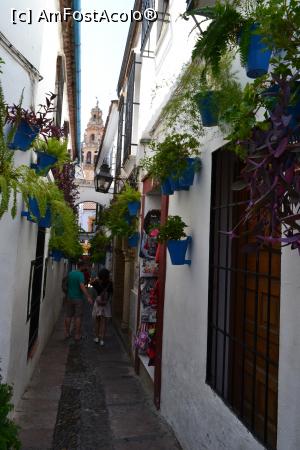 [P73] Vestita Calleja de las flores din Cordoba » foto by mirmicu
 - 
<span class="allrVoted glyphicon glyphicon-heart hidden" id="av1076174"></span>
<a class="m-l-10 hidden" id="sv1076174" onclick="voting_Foto_DelVot(,1076174,8504)" role="button">șterge vot <span class="glyphicon glyphicon-remove"></span></a>
<a id="v91076174" class=" c-red"  onclick="voting_Foto_SetVot(1076174)" role="button"><span class="glyphicon glyphicon-heart-empty"></span> <b>LIKE</b> = Votează poza</a> <img class="hidden"  id="f1076174W9" src="/imagini/loader.gif" border="0" /><span class="AjErrMes hidden" id="e1076174ErM"></span>